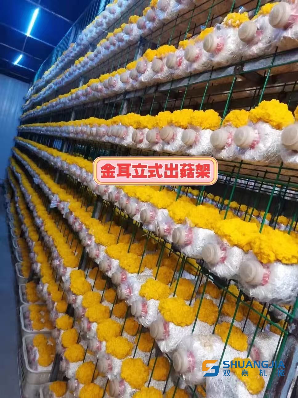 微信圖片_20260305202231.jpg